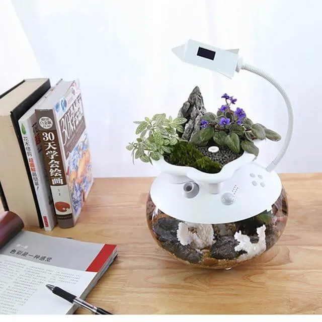 Creative Ecological Mini Fish Tanks