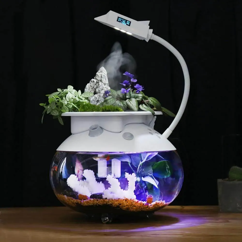 Creative Ecological Mini Fish Tanks