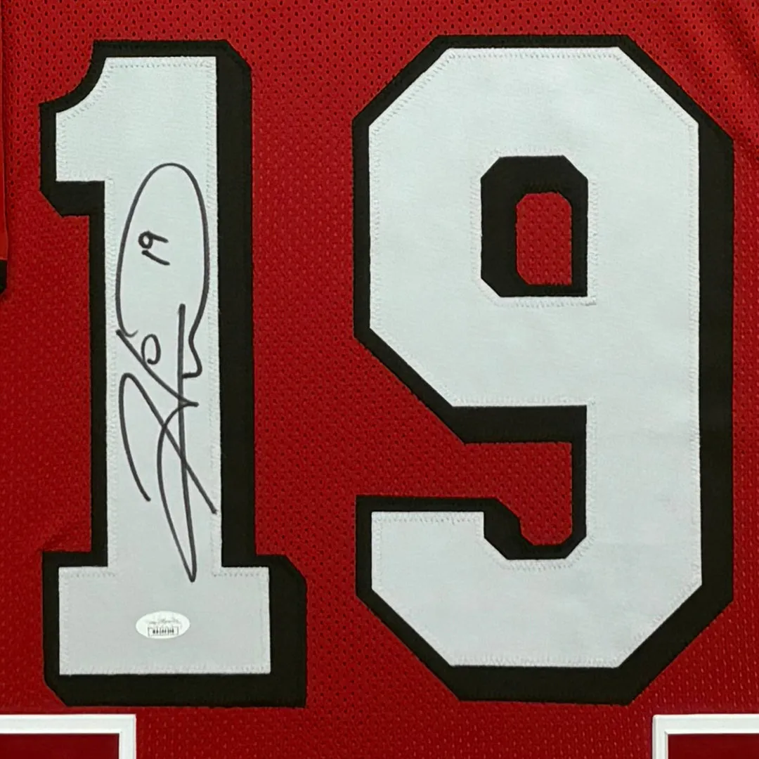 Hines Ward Signed Georgia Red Custom Suede Matte Framed Football Jersey